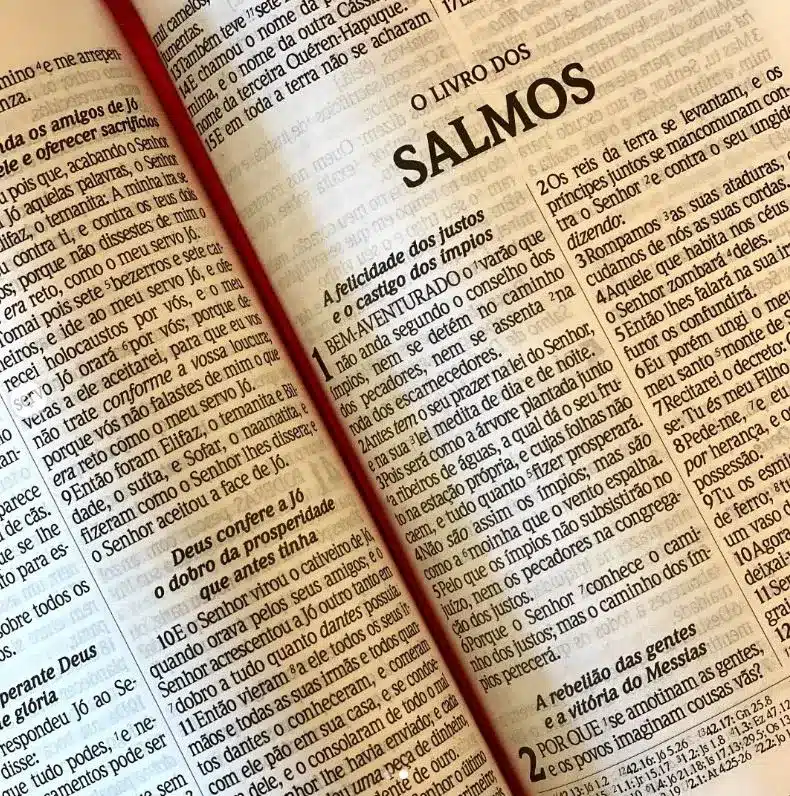 Transforme sua vida com um versículo diário