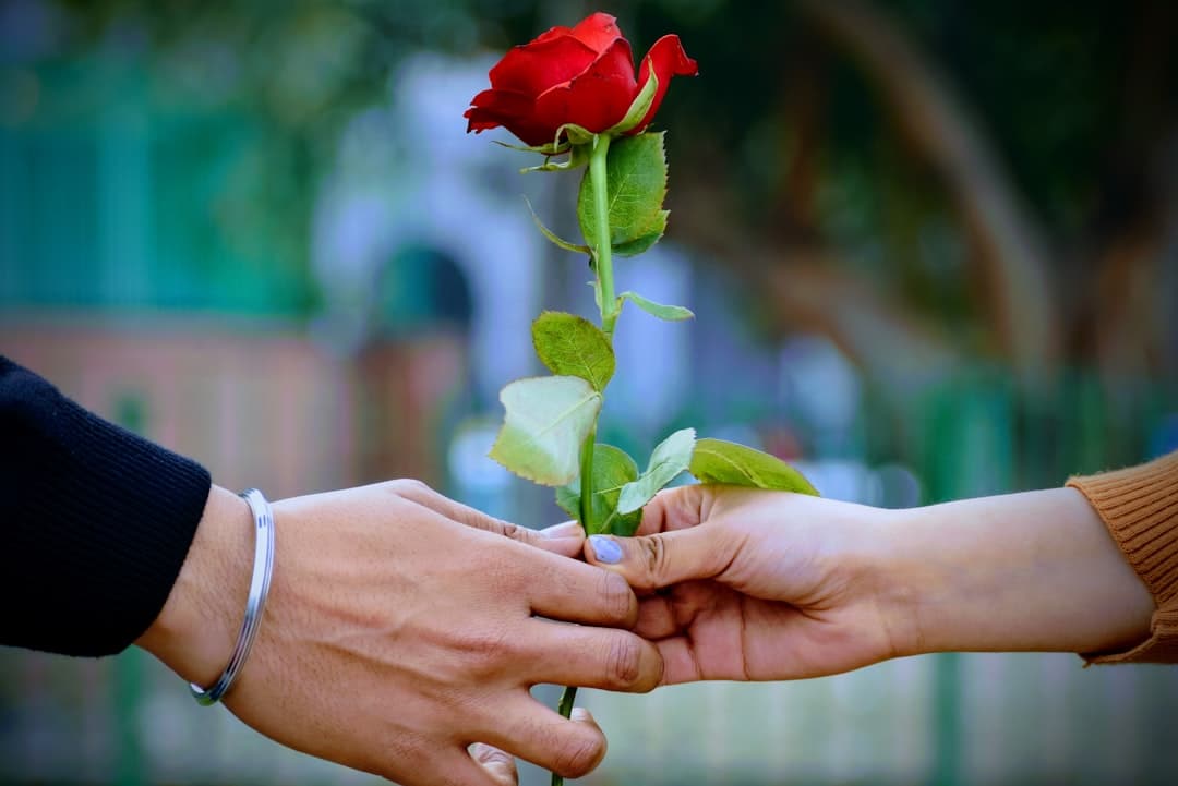 Recebendo uma carta de amor: emoção e descoberta