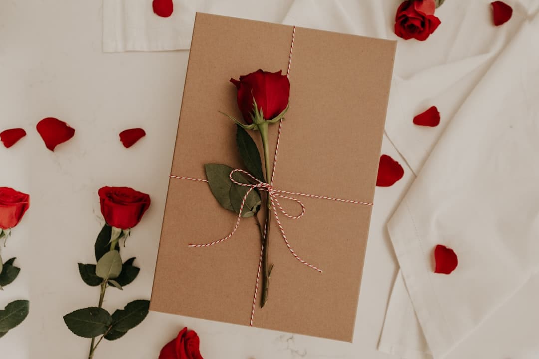 Cartas de amor lindas para enviar e receber carinho